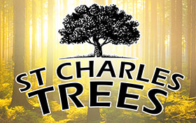 small logo over sunset forest st charles trees